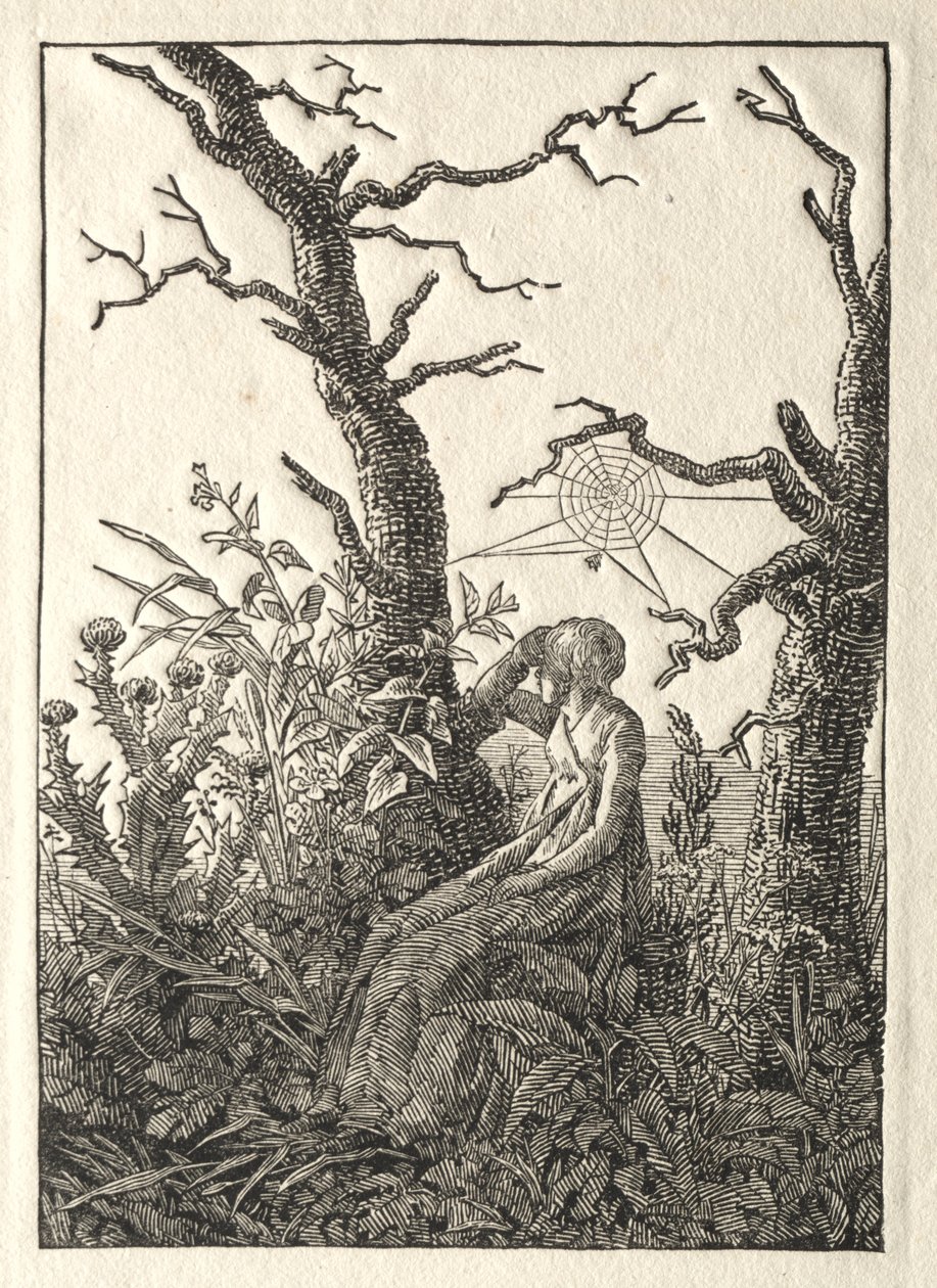 裸の木の間の蜘蛛の巣を持つ女、1803年。 作： カスパー・デイビッド・フリードリッヒ