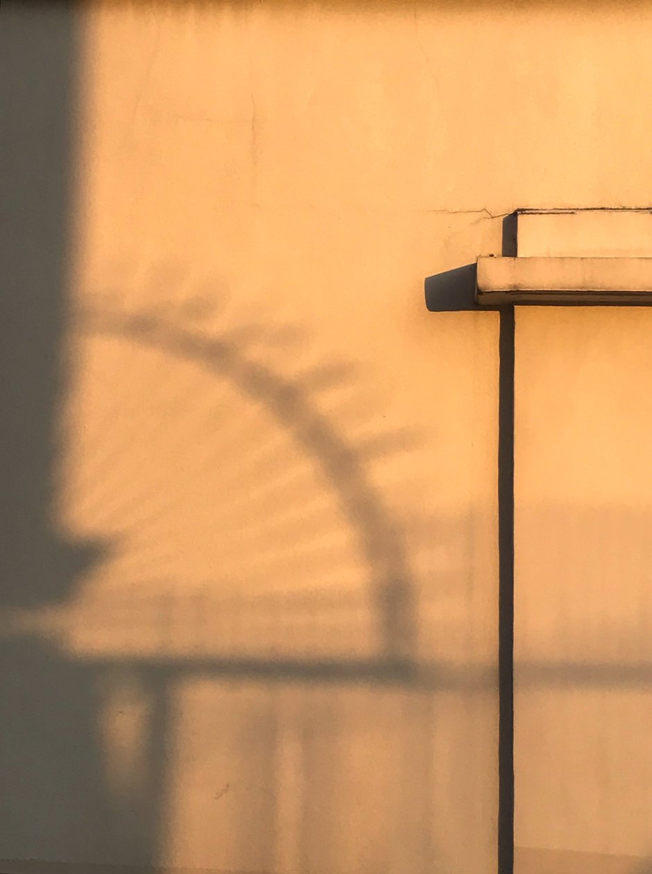 構図 - 建築 - 影, 2019（写真） 作： セシル・ジャメット