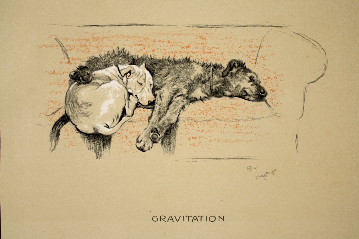 重力、1930年、「眠るパートナー」の第1版、アルディン、セシルチャールズウィンザー（1870-1935）、エアおよびSpottiswoode Limited、チョークおよびチャコールが紙に発行 作： セシル・チャールズ・ウィンザー・アルディン