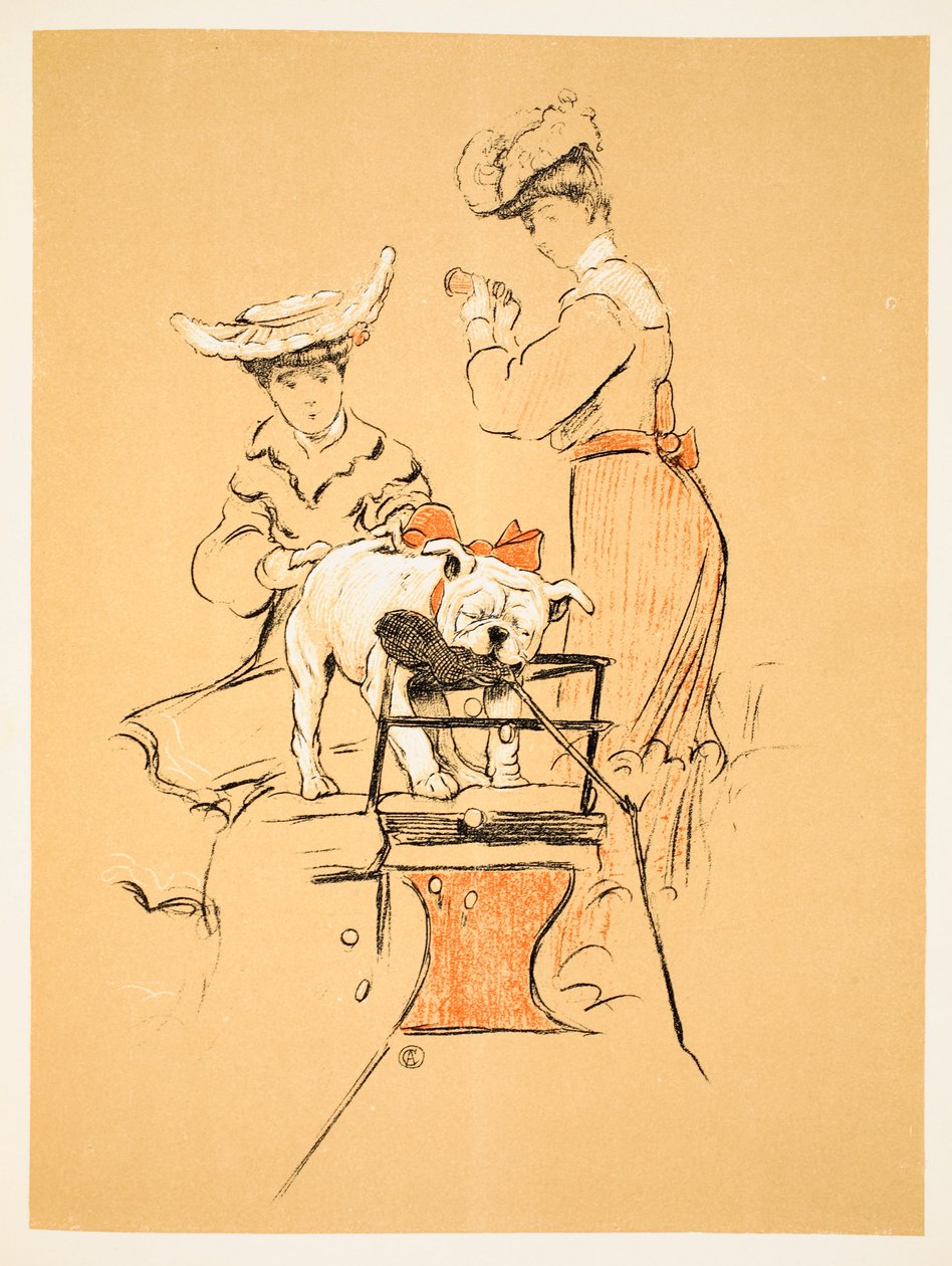 綱引き、「ゲイ犬、愚かな年の物語」アルディン、セシルチャールズウィンザー（1870-1935）、ウィリアムハイネマン、1905年発行。第1版イラスト、チョーク、クレヨン、紙 作： セシル・チャールズ・ウィンザー・アルディン