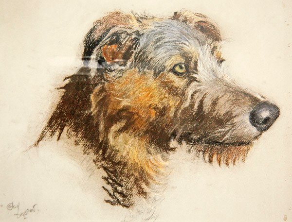 スコットランドの鹿の猟犬（パステル、色紙 作： セシル・チャールズ・ウィンザー・アルディン