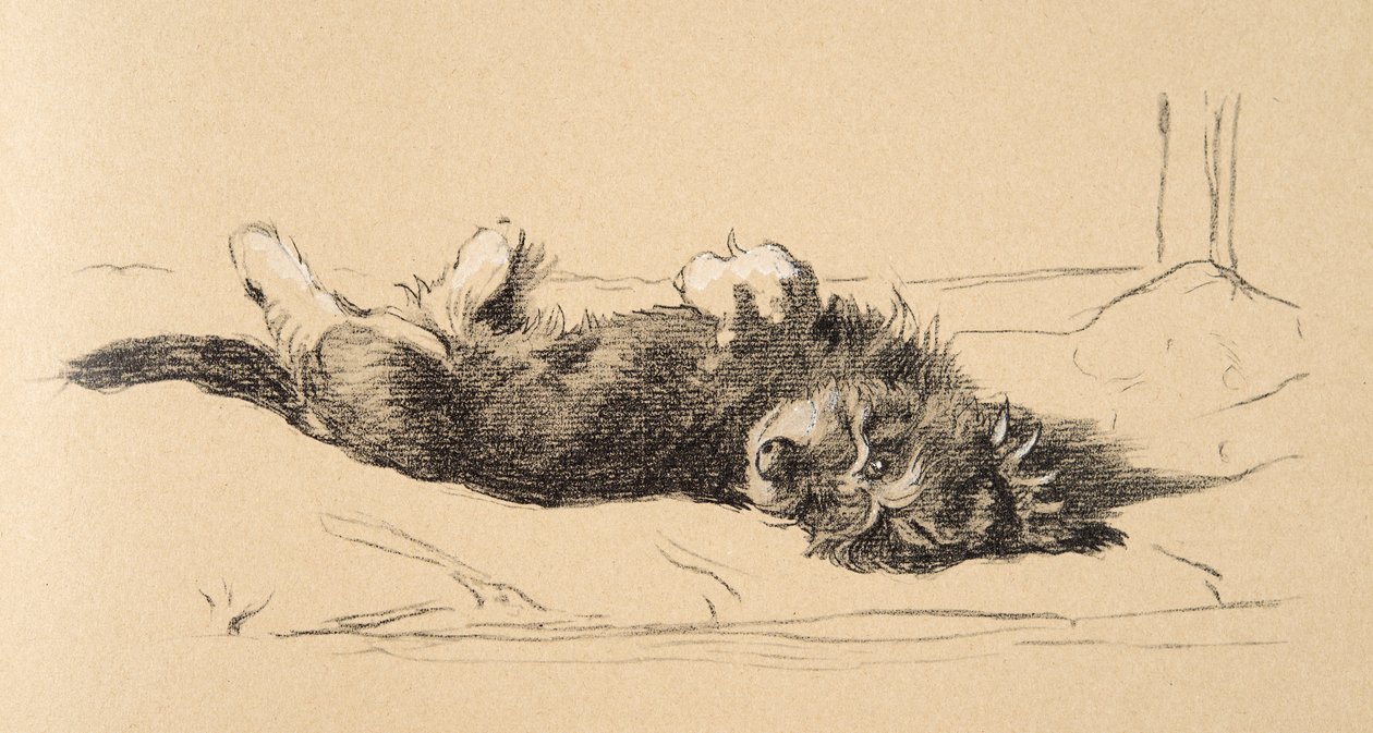 ラフダシュンドの子犬の詳細、1930年、彼のスケッチブックのイラストはJust Among Friendsのアルディン、セシルチャールズウィンザー（1870-1935）で使用され、後にエアアンドスポットティスウッドリミテッド、1934年に出版されました。 作： セシル・チャールズ・ウィンザー・アルディン
