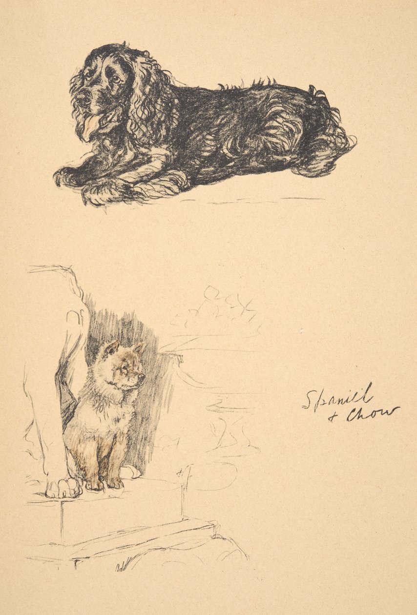 Spaniel and Chow、1930年、彼のスケッチブックのイラストはJust Among Friends、Aldin、Cecil Charles Windsor（1870-1935）で使用され、後にEyre and Spottiswoode Limited、1934、Chalk and Charにより発行 作： セシル・チャールズ・ウィンザー・アルディン
