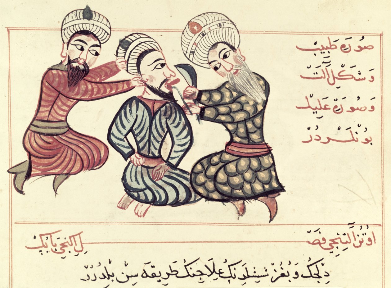 Ms Sup Turc 693 fol.76v舌の下からのラニューラの切除、1466 作： キャラフエディン