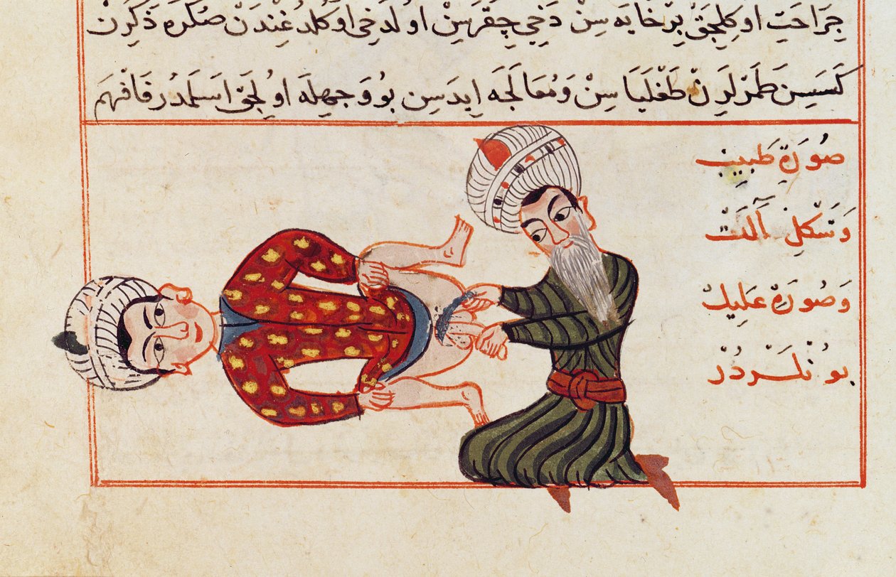 Ms Sup Turc 693 fol.76v去勢手術、1466 作： キャラフエディン