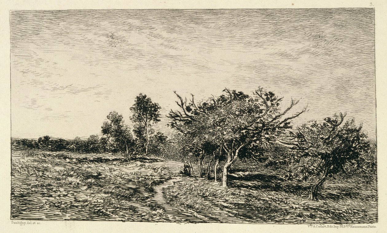 オーヴェルでのリンゴの木（ポミエアオーヴェル）、1877 作： チャールズ・フランソワ・ドービニー