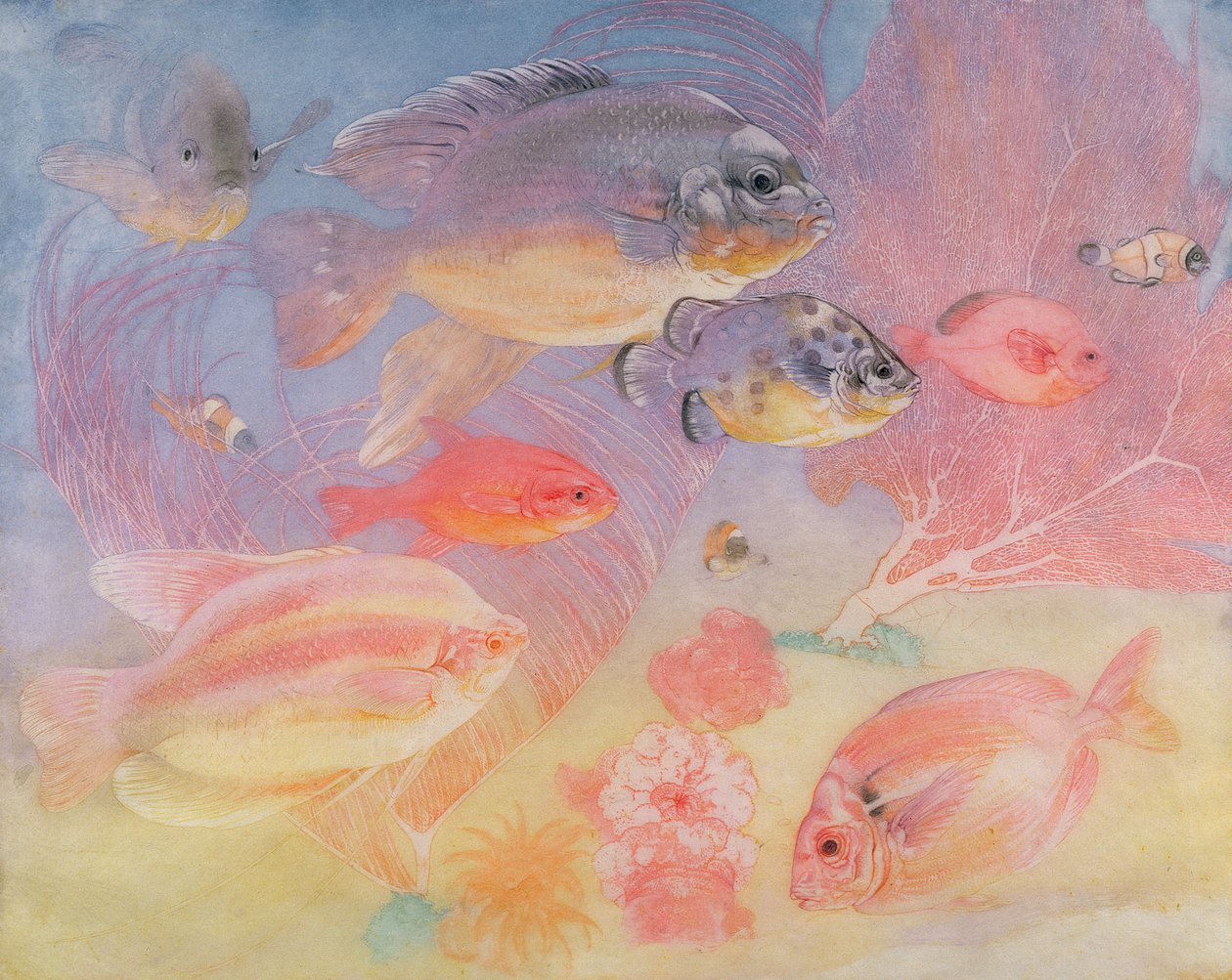 熱帯魚 作： チャールズモーリスデトモルト