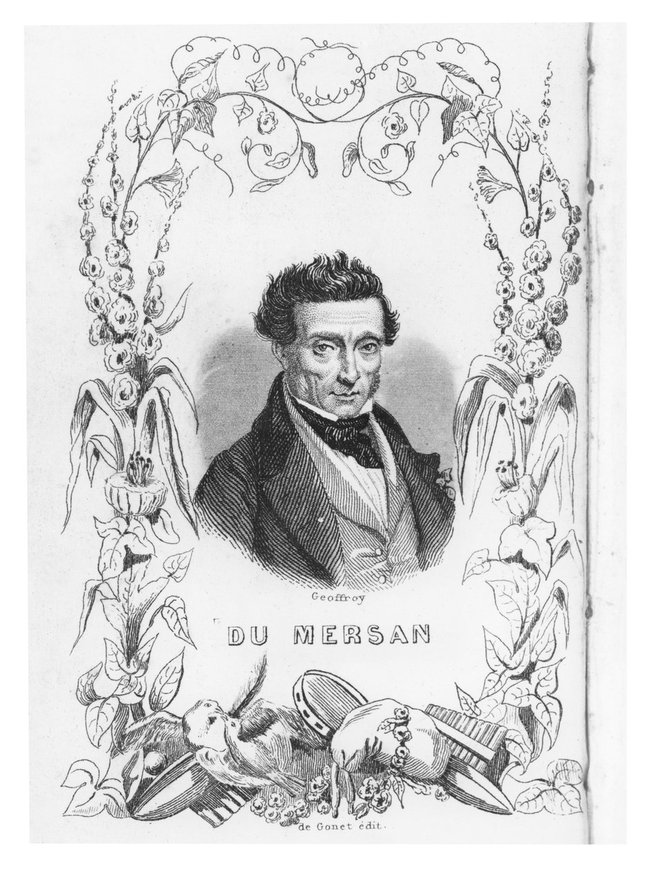 テオフィルマリオンデュメルサン、1847年 作： チャールズ・ミシェル・ジェフロワ