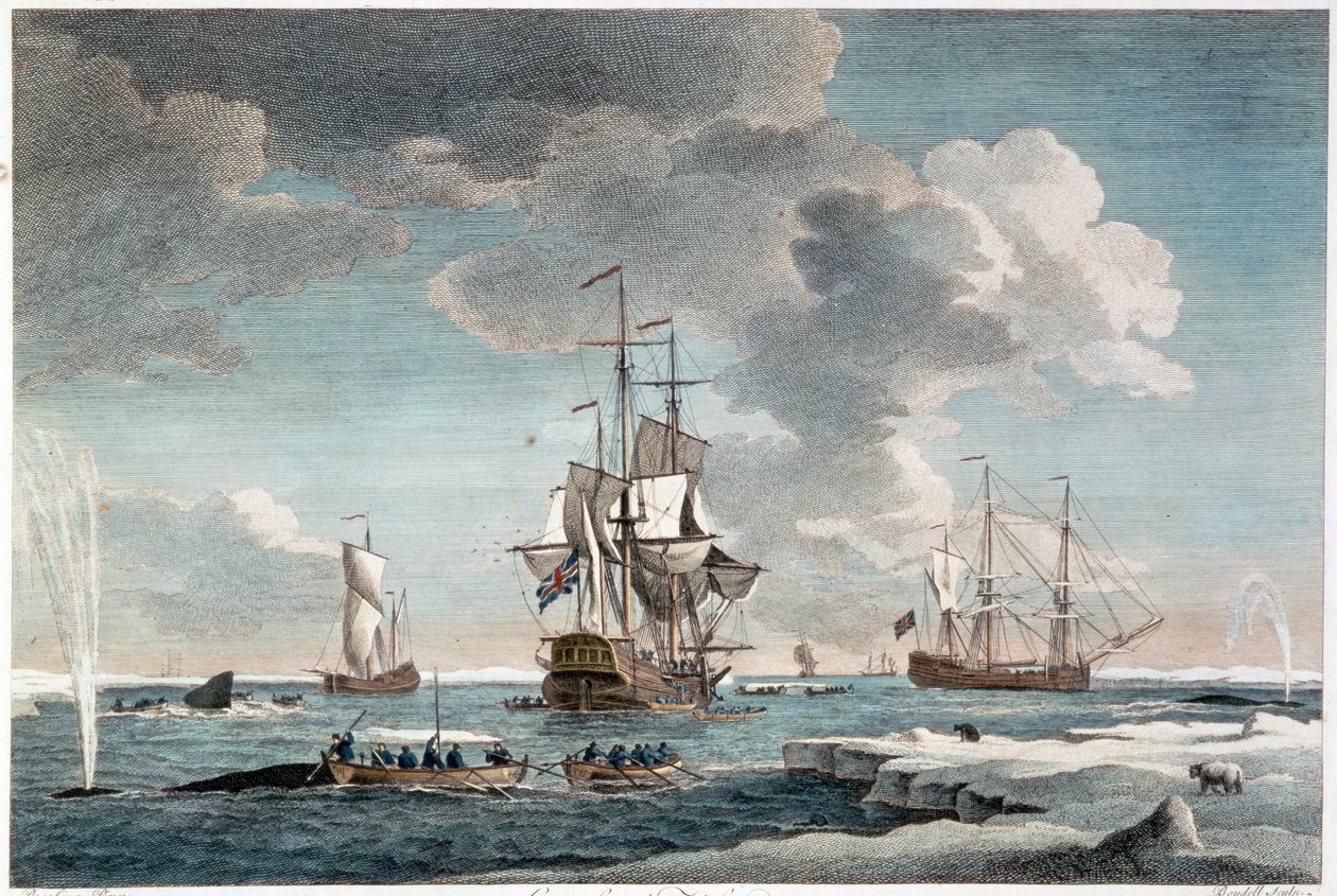 1754年、ジョン・ボイデル（1719-1804）版「グリーンランド漁業」（カラー・エングレーヴィング） 作： チャールズ (後) ブルッキング