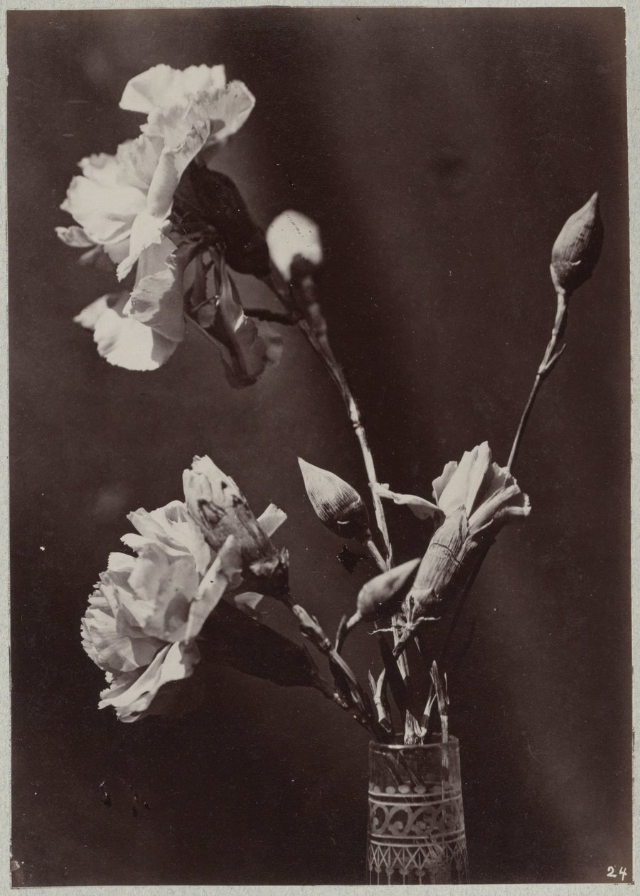 ガラスの花瓶を使った花の研究 作： チャールズオーブリー（の男性）