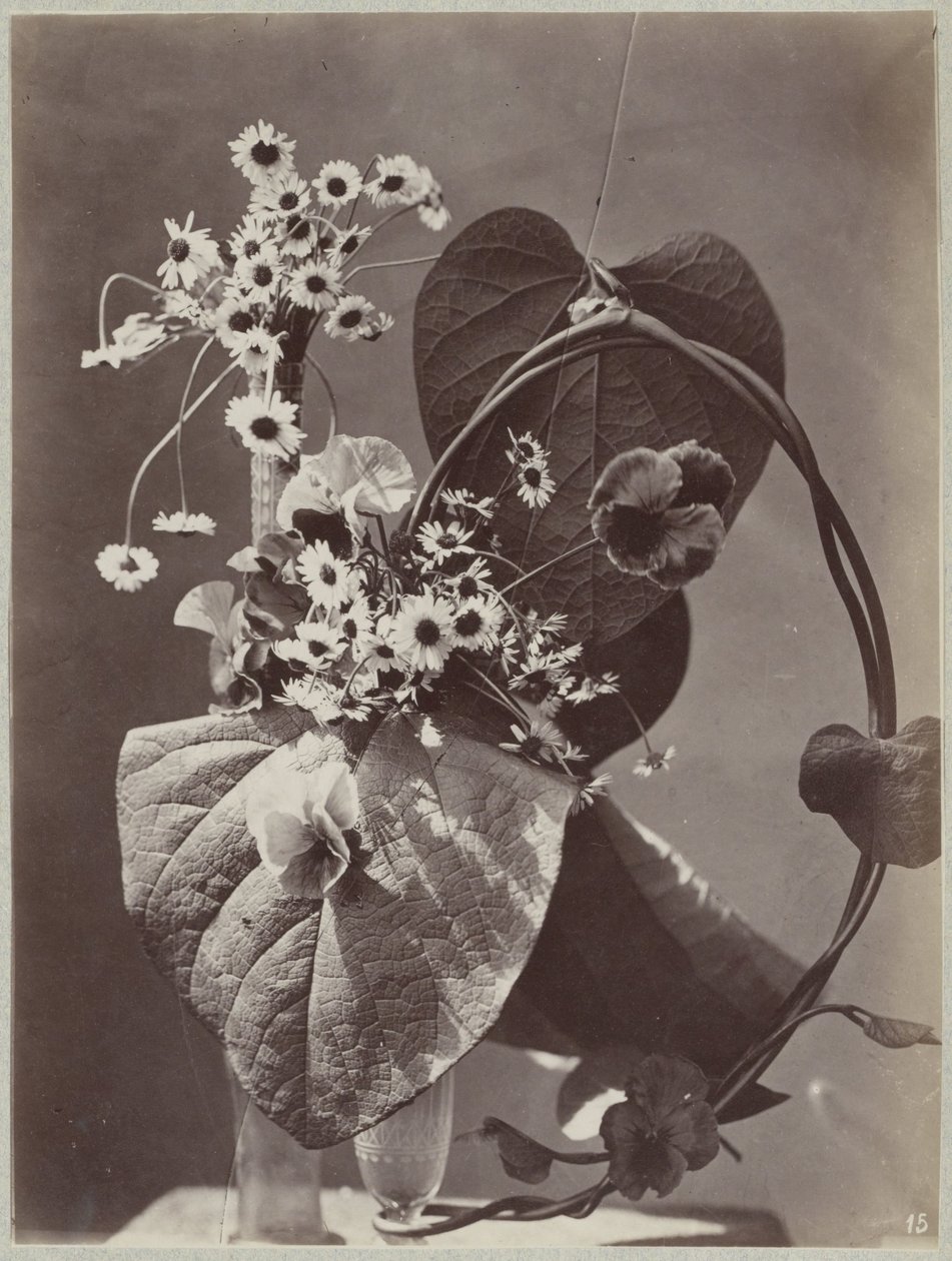 ガラスの花瓶を使った花の研究 作： チャールズオーブリー（の男性）