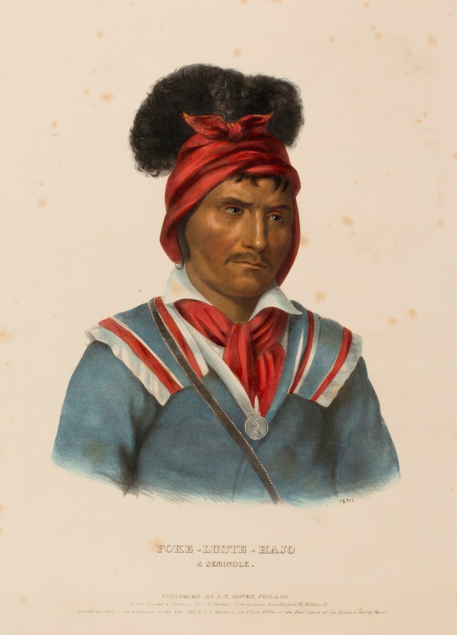 フォケ・ラスト・ハジョ北アメリカ・インディアン部族史』より「A SEMINOLE. 作： チャールズバードキング
