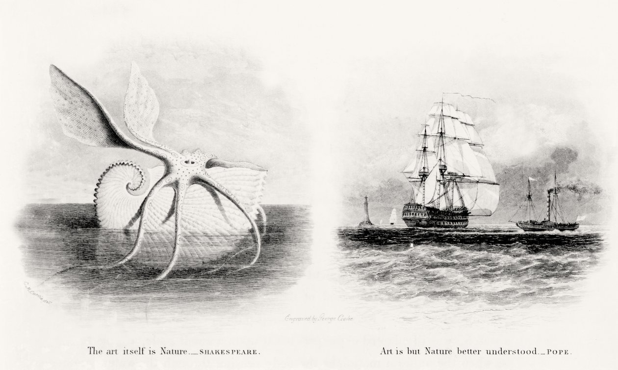 巨大なイカと2隻の船、ジョージクック（1781-1834）によって彫刻 作： チャールズ・カーティス