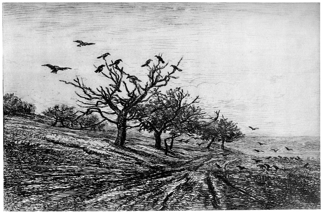 レイヴンツリー、1840〜1875年、1924年 作： チャールズ・フランソワ・ドービニー