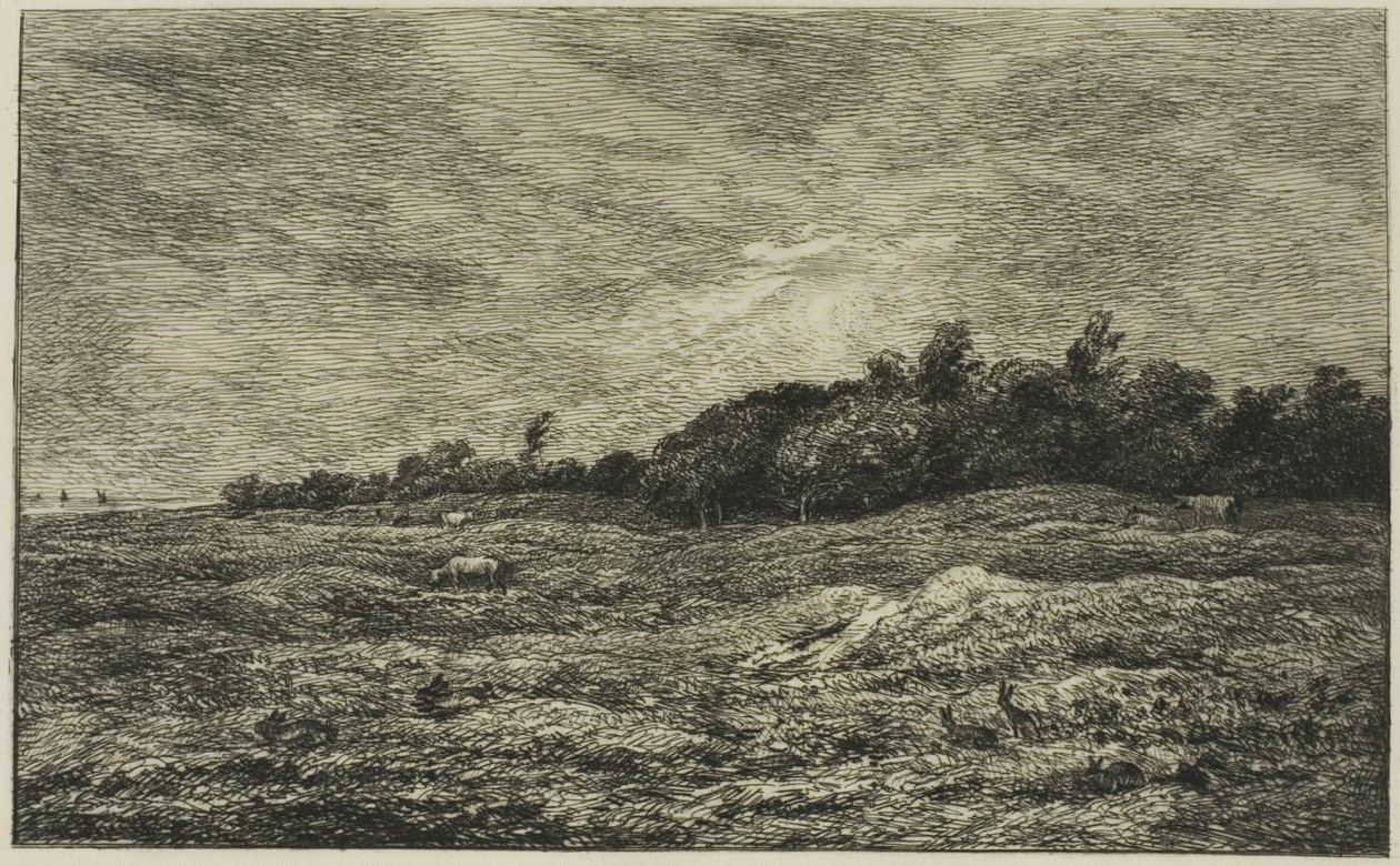 Villerville (Calvados) の Pre des Graves 作： チャールズ・フランソワ・ドービニー