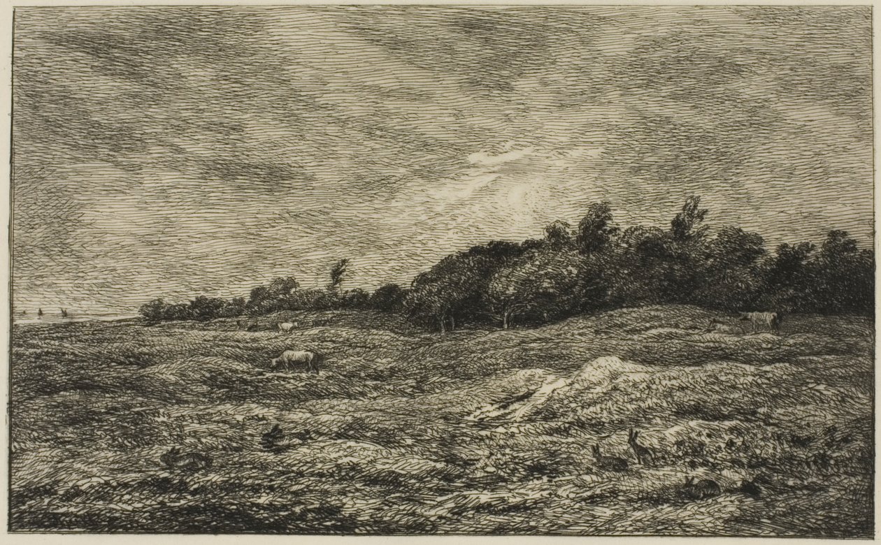 Villerville (Calvados) の Pre des Graves 作： チャールズ・フランソワ・ドービニー