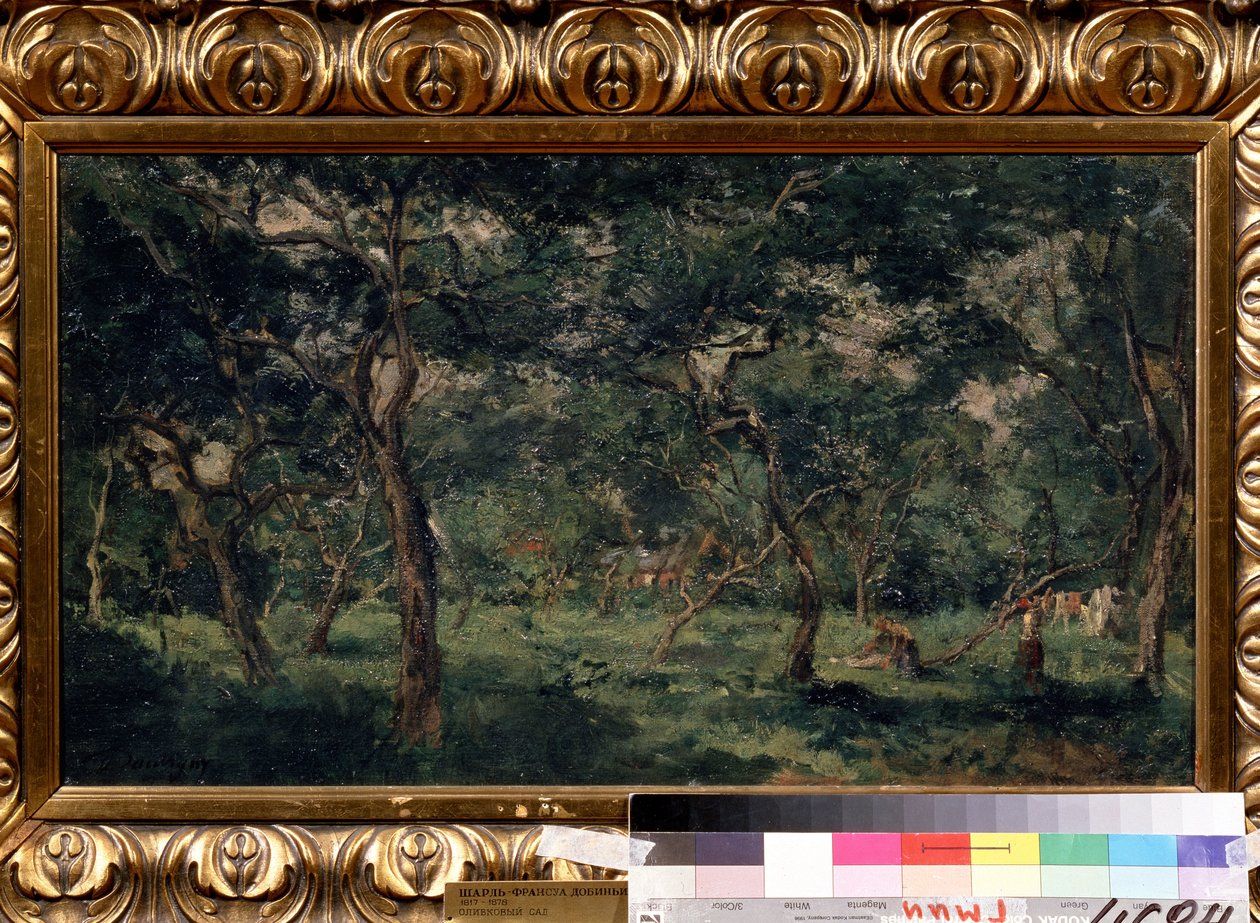 「オリーブの木立」（オリーブの果樹園） シャルル・フランソワ・ドービニー（1817-1878）作 1870-1873年 プーシキン美術館、モスクワ 作： チャールズ・フランソワ・ドービニー