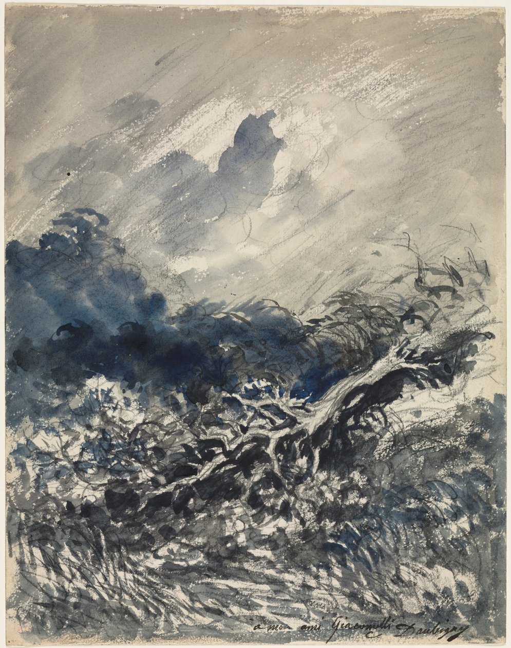 オークの木とリード、c。 1873年。 作： チャールズ・フランソワ・ドービニー