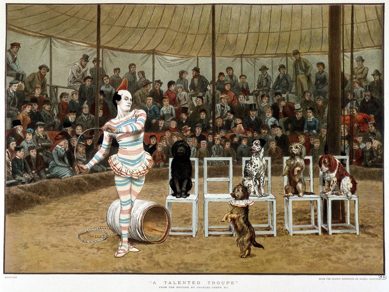 The learned dogs: circus scene with clown and dogs - after Charles Green, English chromo 1885.The learned dogs: circus scene with clown and dogs - after Charles Green, English chromo 1885.The learned dogs.¿The learned dogs: circus scene with clown and dogs 作： チャールズ・グリーン