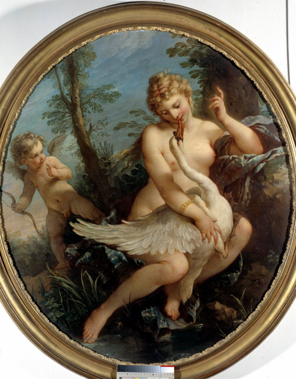 レダと白鳥 レダと神ゼウスは白鳥に変身して神に近づきます。絵画：シャルル・ジョゼフ・ナトワール（Charles-Joseph Natoire 作： チャールズ・ジョセフ・ナトワール