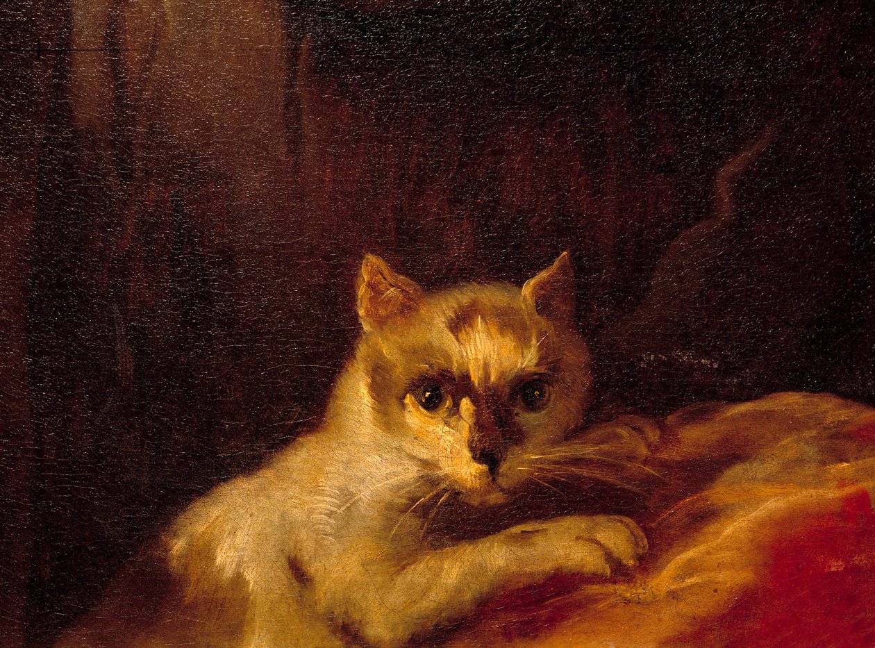 マドモアゼル・ド・シャロレ 猫を表すディテール絵画：シャルル・ジョゼフ・ナトワール（Charles-Joseph Natoire 作： チャールズ・ジョセフ・ナトワール