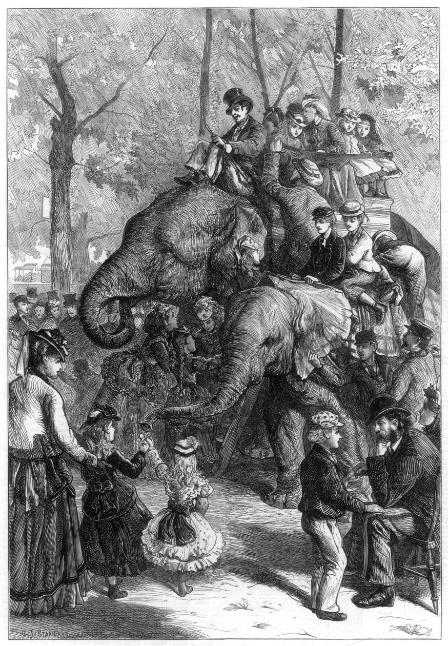 1871年の月曜日の午後、動物園の庭園で。 作： チャールズ・ジョセフ・スタニランド