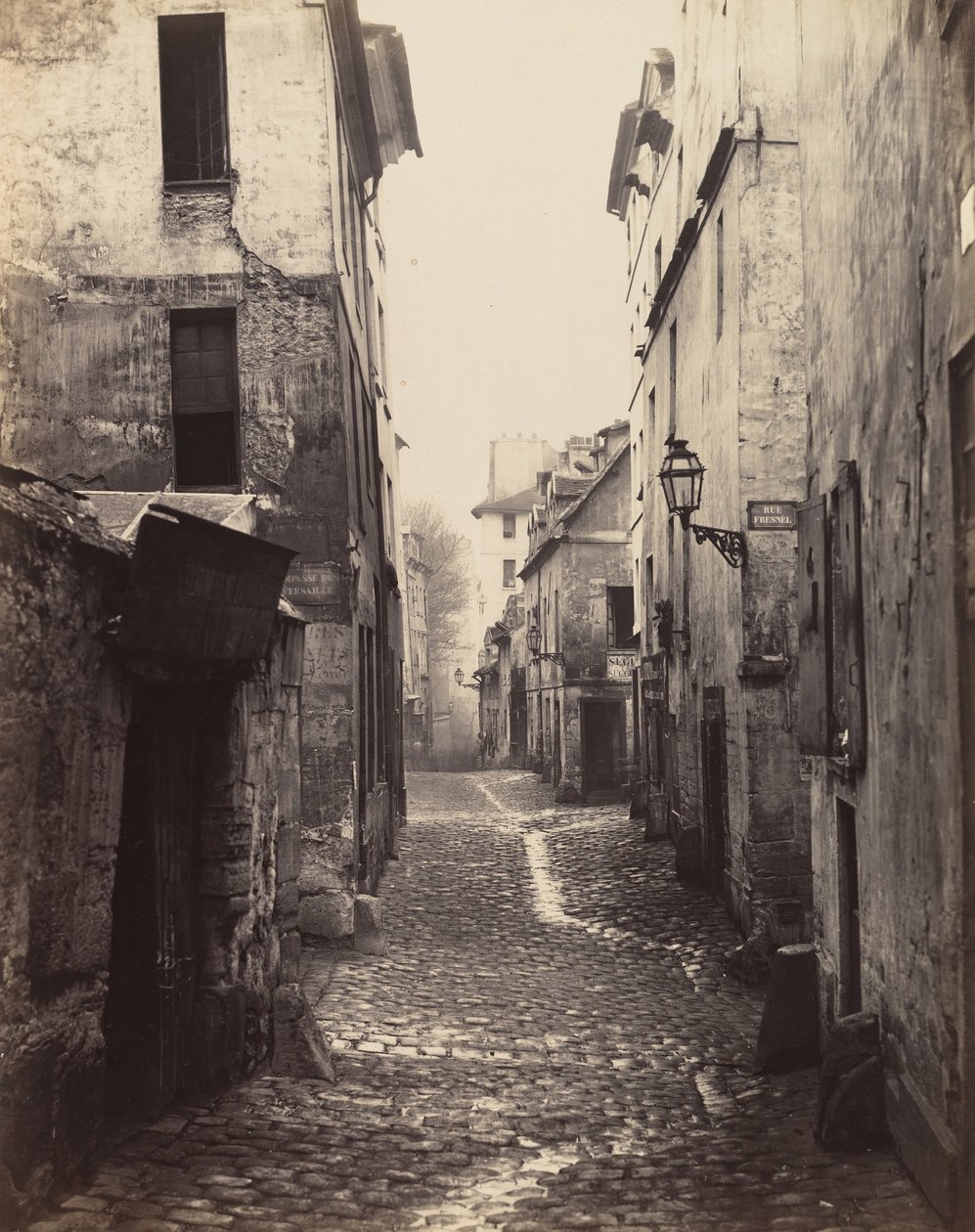 Rue d