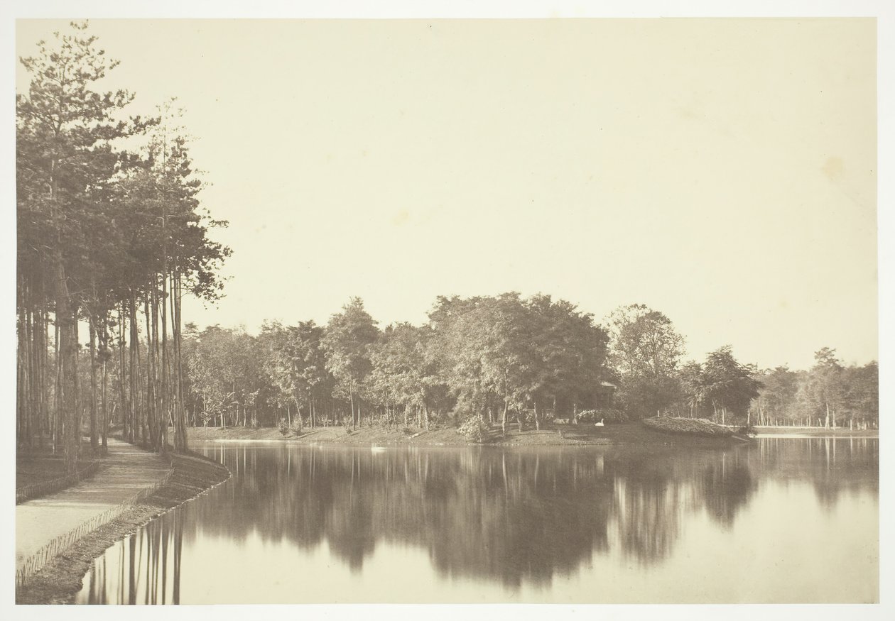 無題、c。 1850. [パリの公園、ブローニュの森の水辺の木々]。 作： チャールズ・マーヴィル