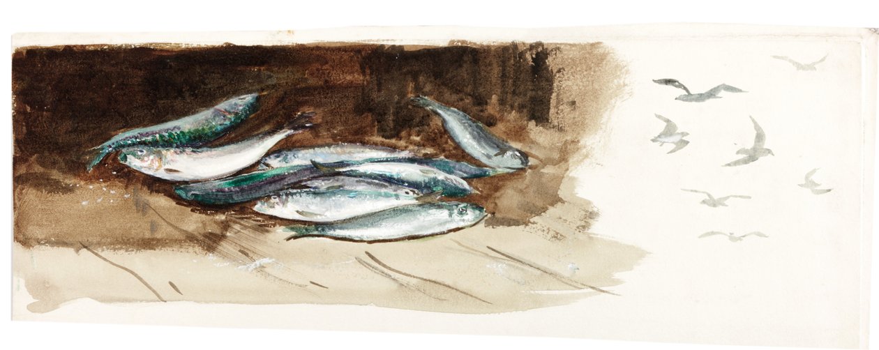 魚の研究（ボディカラーと水彩紙） 作： チャールズ・ネイピア・ヘミー
