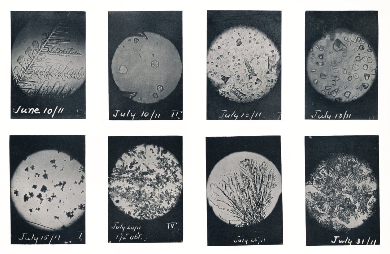 「クレバスの氷の結晶」、1911 年 6 月から 7 月、1913 年 作： チャールズSライト