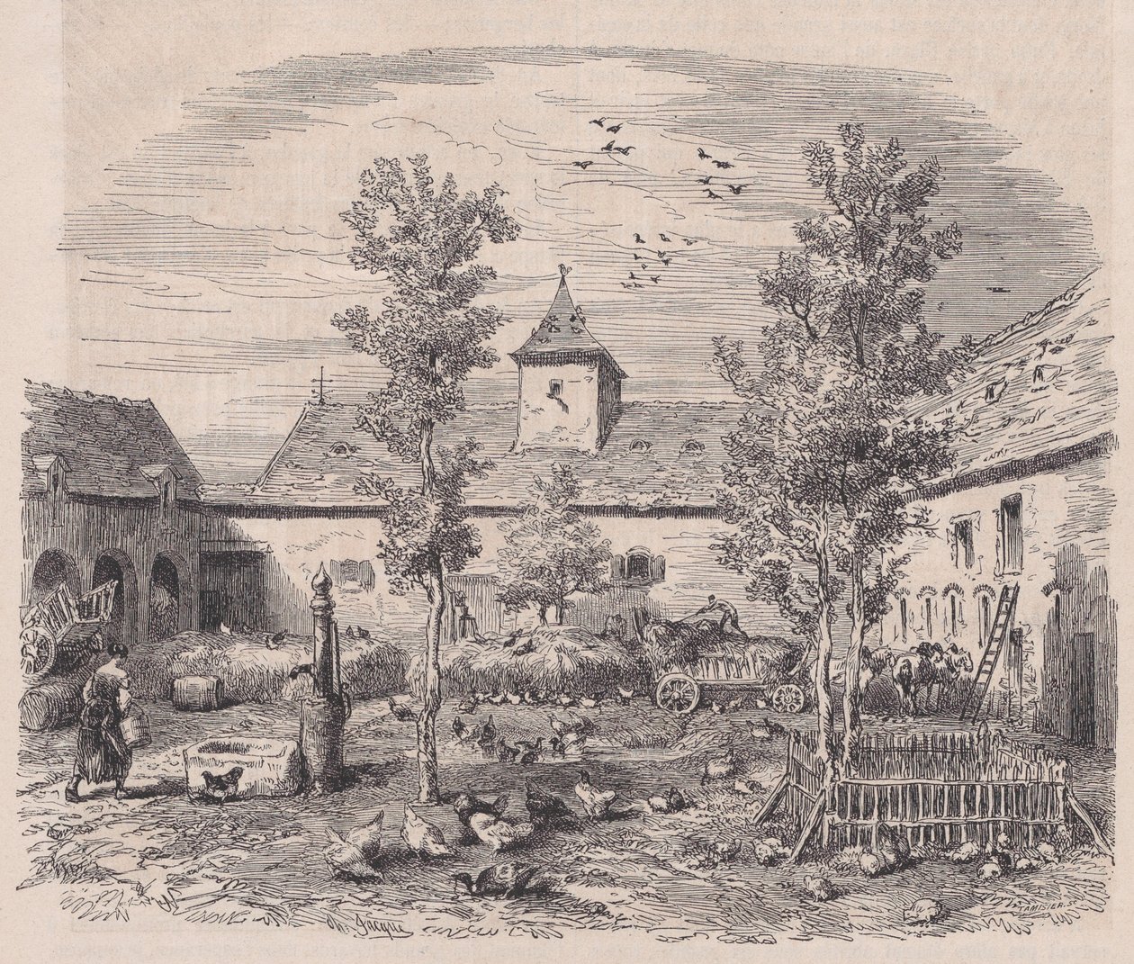 Le Magasin Pittoresque、カリフォルニア州からの農場の内部ビュー。 1852年。 作： チャールズ・タミシエ