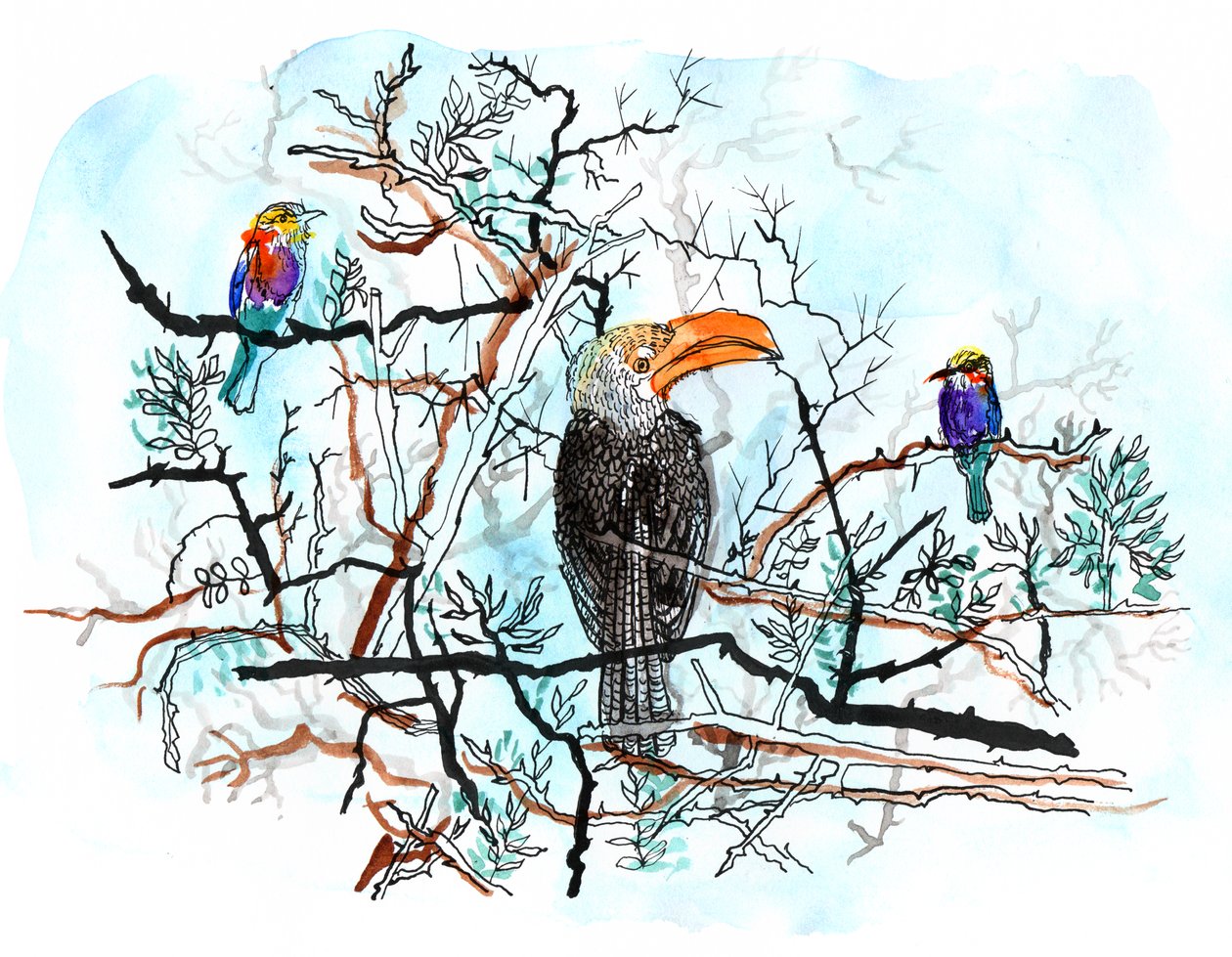 木の鳥、2018年（ペン、インク、水彩） 作： Charlotte Orr