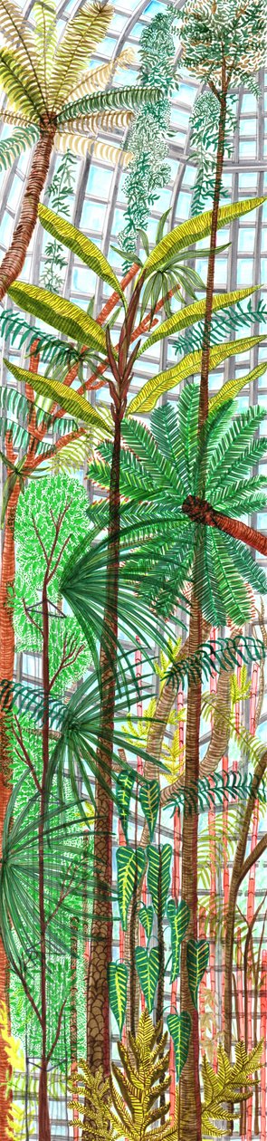植物園、2017年（筆ペン） 作： Charlotte Orr