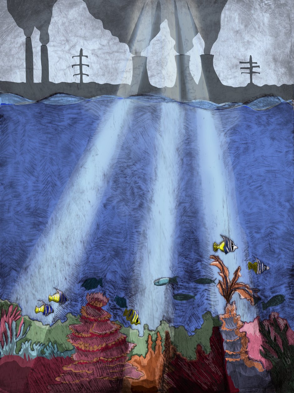 サンゴ礁、2013年（ドライポイントエッチングとデジタル） 作： Charlotte Orr