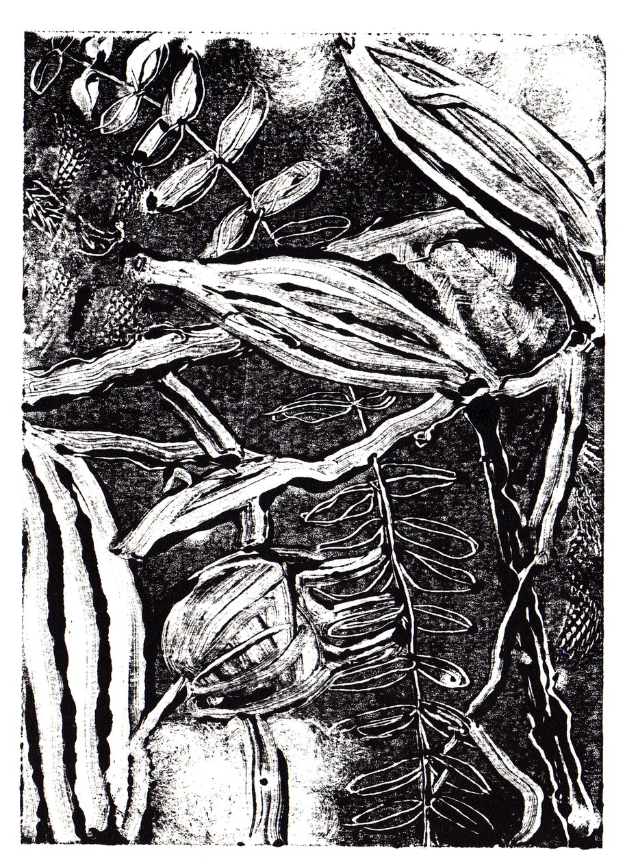 Inky Plants、2019年（モノプリント） 作： Charlotte Orr