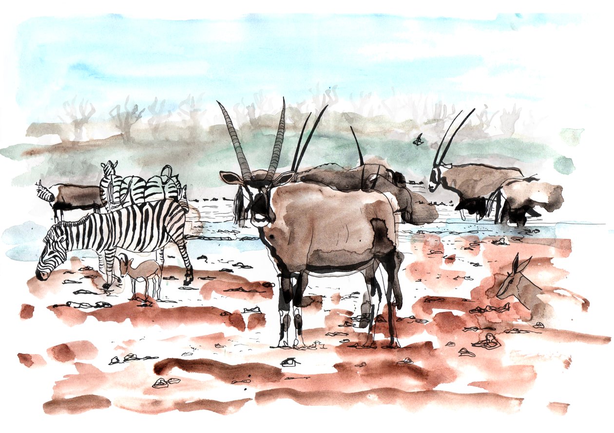 Safari、2018年（インクと水彩） 作： Charlotte Orr