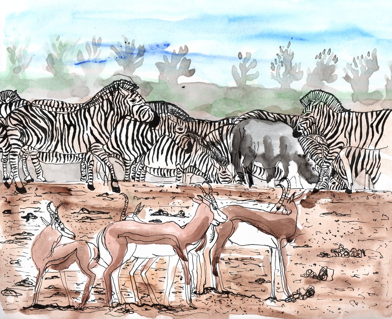 Safari 3、2018年（インクと水彩） 作： Charlotte Orr
