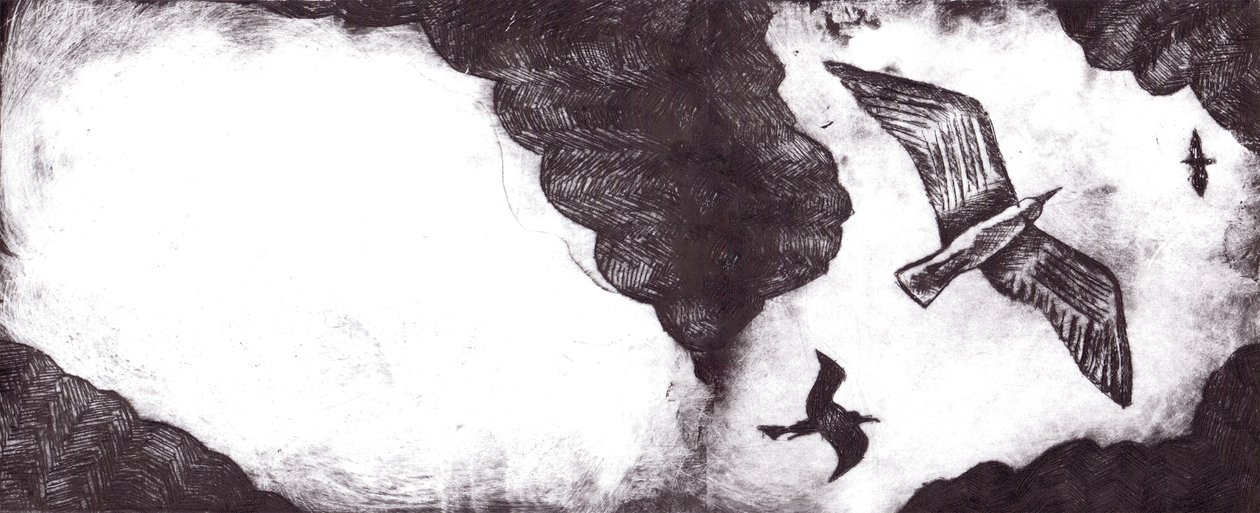 かもめの物語、2012年（ドライポイントエッチングとデジタル） 作： Charlotte Orr