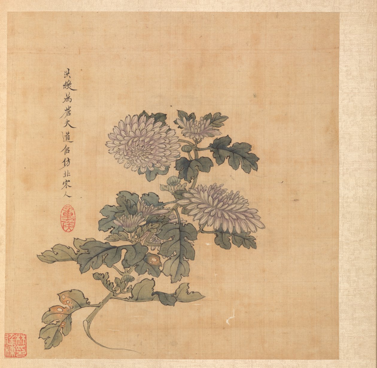 古代の巨匠の後の絵画: 菊 作： 陳紅寿