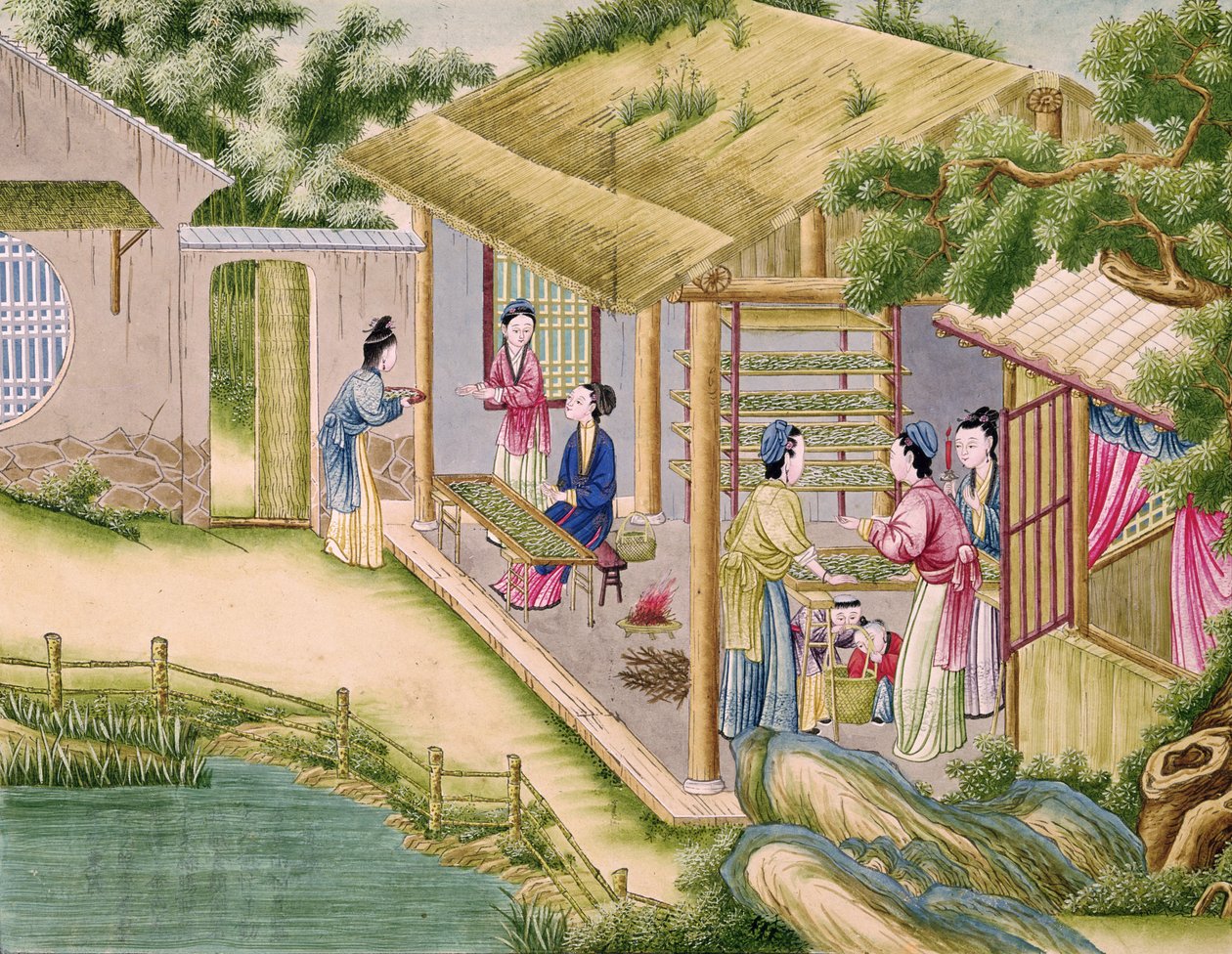 Ms 202 fol.2絹産業に関する本からカイコについて学ぶ 作： 中国語学校
