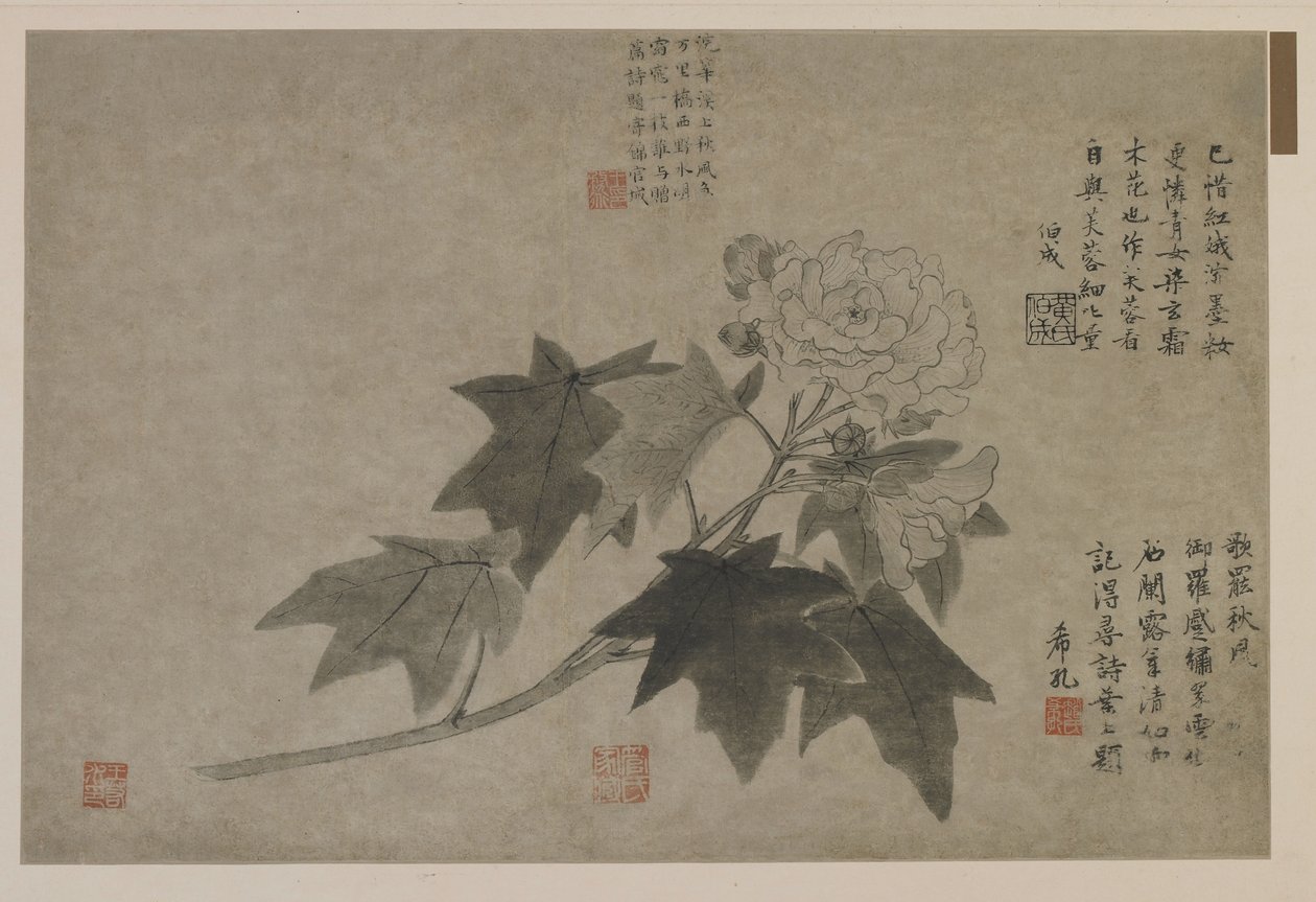 牡丹の枝、おそらく清朝（紙にインク） 作： 中国語学校