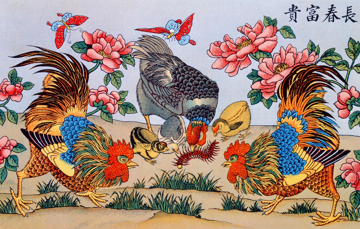 1929年にImrimerie de la Mission Catholiqueが上海で出版した、中国での迷信に関する研究のイラストによるヤスデを殺す雄鶏 作： 中国語学校