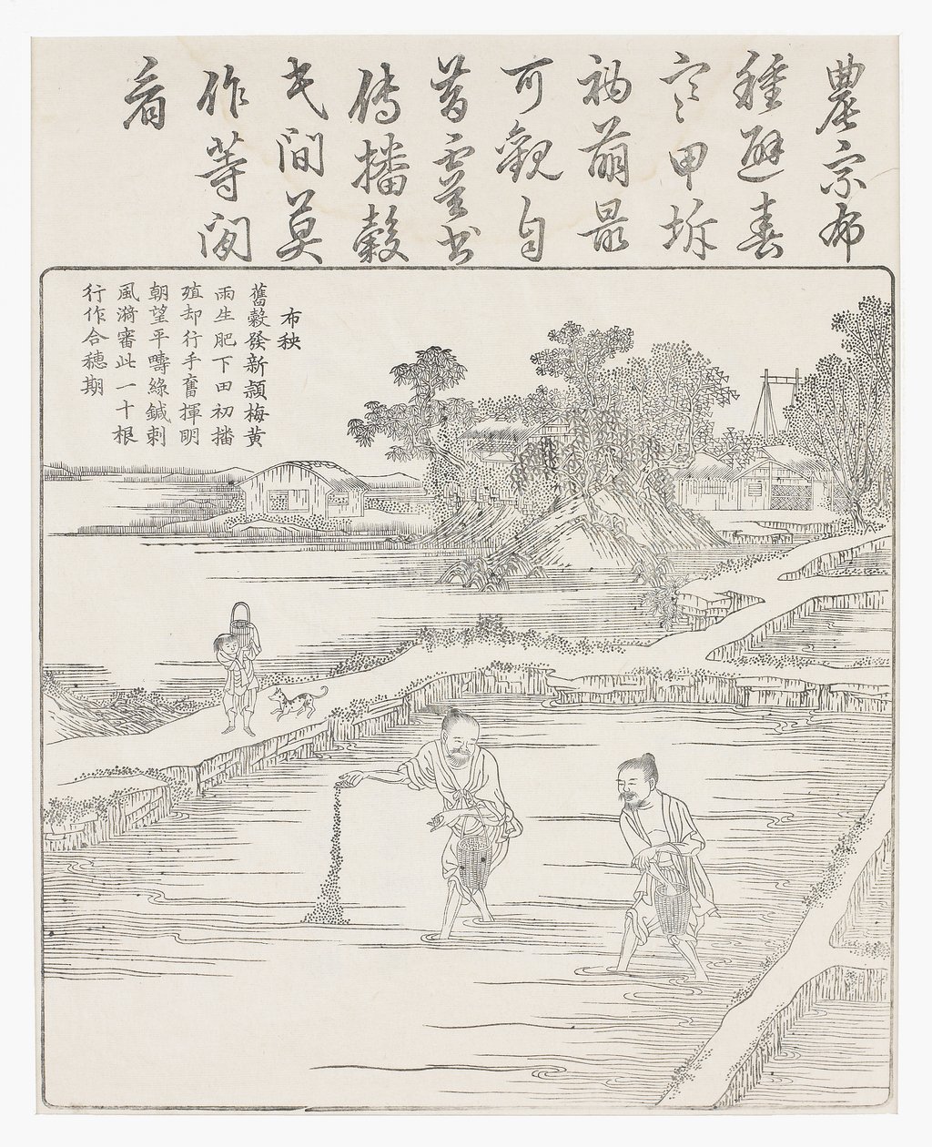 苗床に稲を蒔く、18世紀 作： 中国語学校