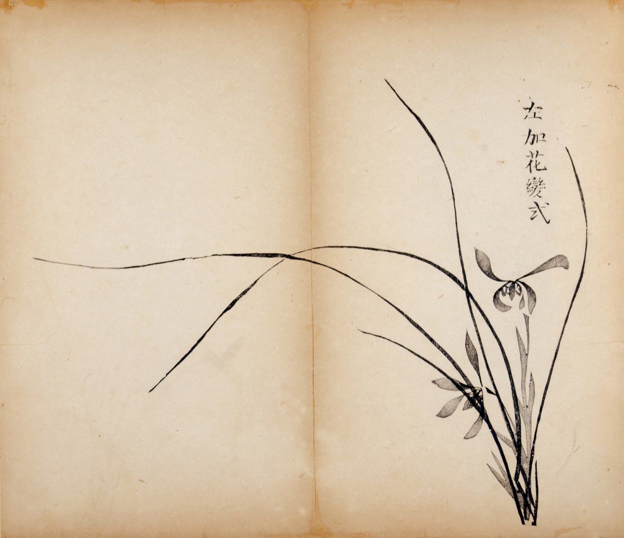 Ten Bamboo Studio Prints、1643（木版） 作： 中国語学校