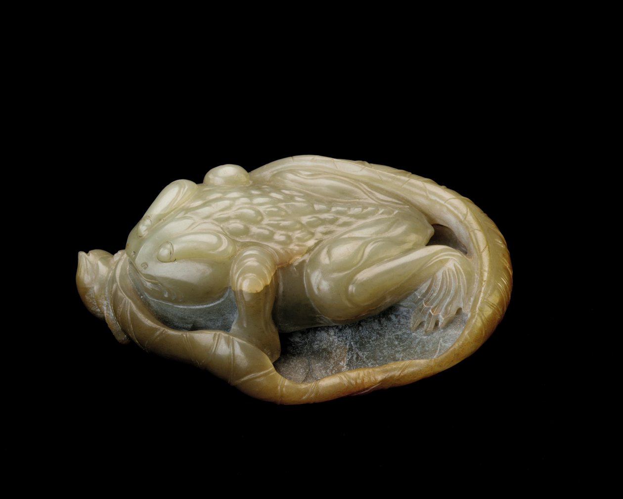 蓮の葉のヒキガエル、1500-1700 作： 中国語学校