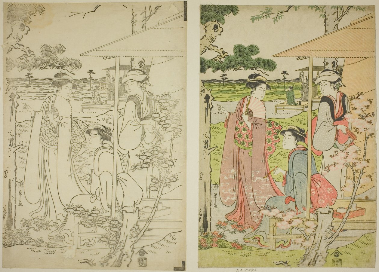 飛鳥の丘の茶屋からお花見 作： 長文祭栄司