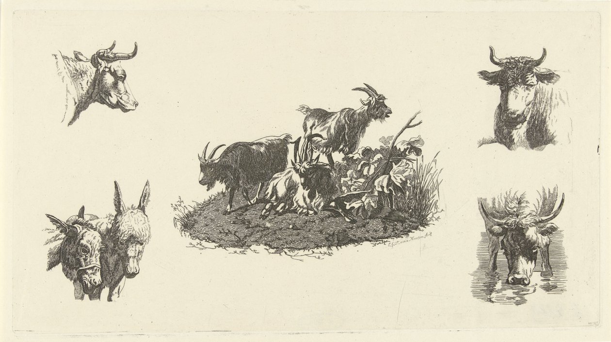 両側に牛の頭とロバの頭を持つ 3 頭のヤギ 作： Christiaan Godfried Schutze van Houten