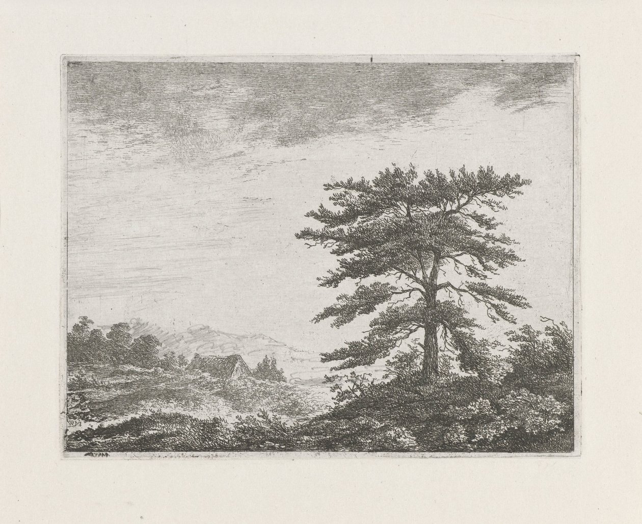 荒野の木 作： Christiaan Wilhelmus Moorrees