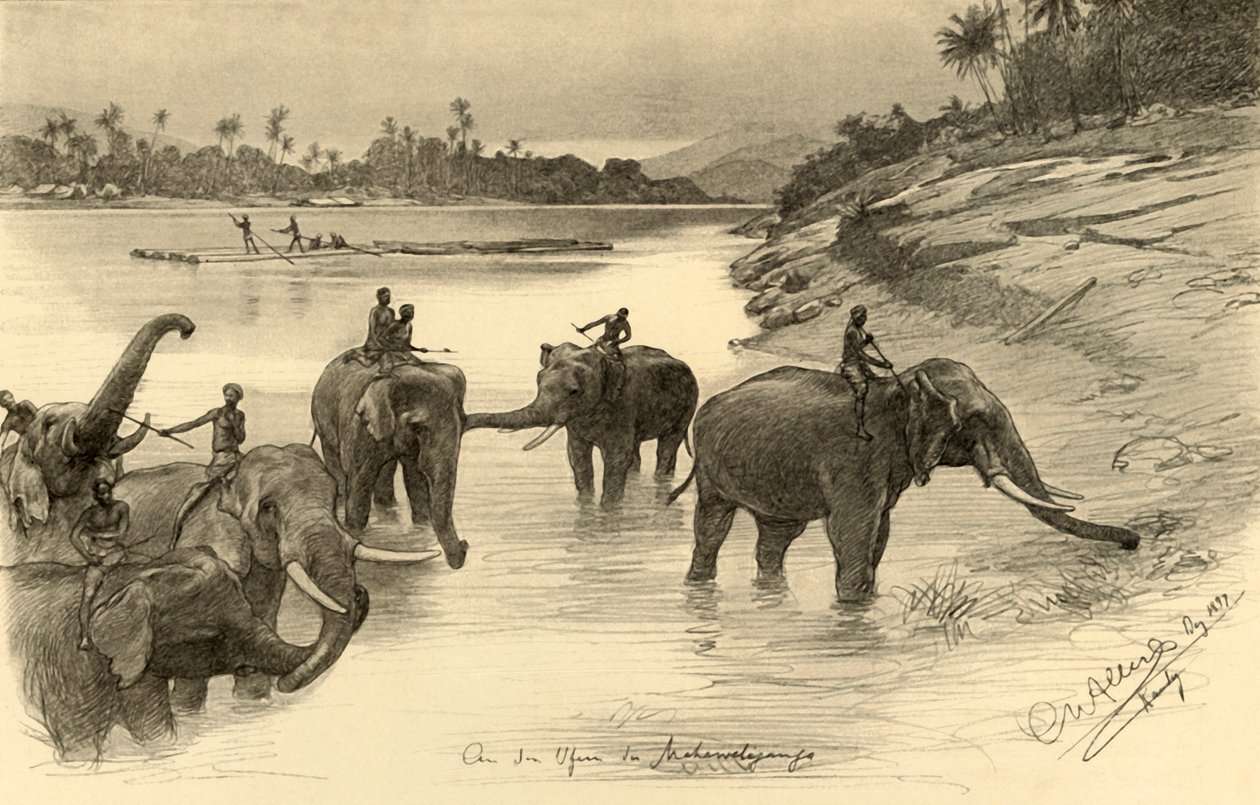 1898 年、セイロンのマハウェリ川のほとりにいるゾウ。 作： クリスチャン・ウィルヘルム・アラーズ