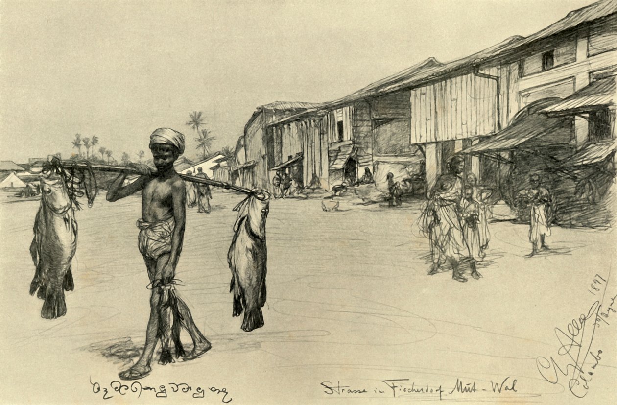 1898 年、セイロン島、ムトワルの漁村の街並み。 作： クリスチャン・ウィルヘルム・アラーズ